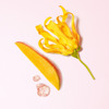 Imagen de GIORGIO ARMANI MY WAY YLANG EDP [30 ml]