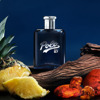 Imagen de RALPH LAUREN POLO 67 EDP [40 ml]