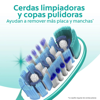 Imagen de COLGATE CEPILLO 360 MEDIO 2X1 [2 uni.]