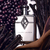Imagen de RALPH LAUREN RALPH´S CLUB NEW YORK EDP [110 ml]