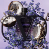 Imagen de VALENTINO BORN IN ROMA PURPLE UOMO EDP [50 ml]