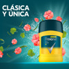 Imagen de REXONA BARRA ANTITR. V8 MASCULINO [50 gr]