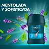 Imagen de REXONA BARRA ANTITR. XTRA COOL MASCULINO [50 gr]
