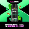 Imagen de AXE AERO DEO. GREEN GERANIUM [150 ml]